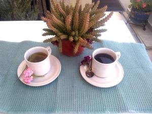 zwei Tassen Kaffee auf Tellern auf einem Tisch in der Unterkunft Habitación independiente colibrí in Aguascalientes