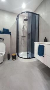 a bathroom with a shower and a toilet at Domek I nad jeziorem OSTOJA Mrągowo-Krzywe mazury in Mrągowo