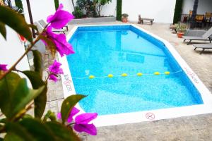 Bazén v ubytování Hotel Posada El Rey Sol nebo v jeho okolí