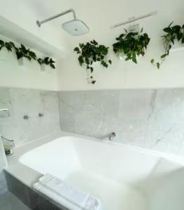 a bathroom with a white tub with plants on the wall at Beautiful Jungle House on a strategic location in Cancún