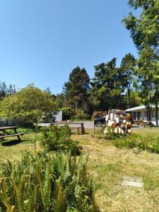 Ein Park mit Pflanzen und einer Bank. in der Unterkunft Dolphin Motel in Tofino