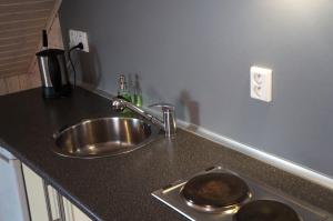 Kuchyň nebo kuchyňský kout v ubytování Apartmány Rudík