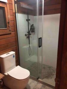 a bathroom with a toilet and a glass shower at Lappi Farm in Berridale