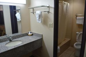 a bathroom with a sink and a toilet and a mirror at Grand Palace Inn in Huntsville
