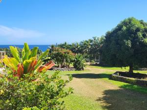 a garden with trees and the ocean in the background at Eua Accommodation in ‘Ohonua