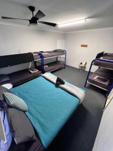 Zimmer mit 2 Etagenbetten und einer Decke in der Unterkunft Kalbarri Inn in Kalbarri