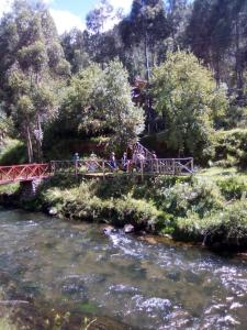 eine Gruppe von Menschen, die eine Brücke über einen Fluss überqueren in der Unterkunft Casa Turistica Las Tunas in Sicuani
