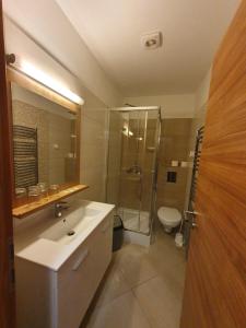 a bathroom with a shower and a sink and a toilet at Corvina Hotel-Restaurant in Mosonmagyaróvár