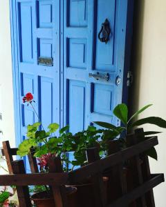 een blauwe deur met een bos planten ervoor bij HOTEL PROVINCIA in San Cristóbal de Las Casas