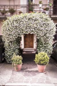 two pots of flowers in front of a door at La casa di Emma in Terni