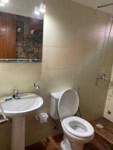 a bathroom with a white toilet and a sink at Agua Viva in Piriápolis