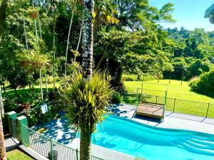 una piscina en un patio con una palmera en Jackaroo Treehouse Rainforest Retreat en Mission Beach
