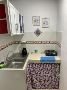 uma cozinha com um lavatório e uma bancada em Apartamento la esmeralda! em Puerto Triunfo