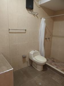 伊基托斯的住宿－Firenze House Iquitos，一间带卫生间和淋浴的浴室