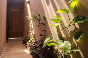 ภาพในคลังภาพของ Casa Dakini en la Punta with pool and ocean view ในปูแอร์โตเอสกอนดิโด