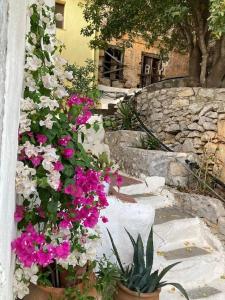 Gallery image of Maison avec terrasses et vues in Symi