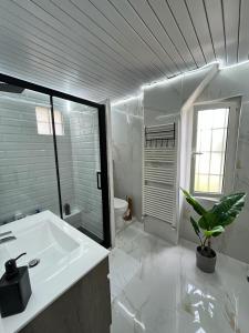 a white bathroom with a sink and a plant at Romantic villa in the south of France with a private garden , pool and a terrace in Nice