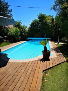 a swimming pool on a wooden deck with a potted plant at Villa féeric in Toulon