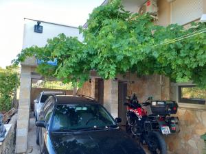 Fotografie z fotogalerie ubytování Familien Ferienhaus Vir Croatia 150m Strand Restaurant Einkaufen v destinaci Vir
