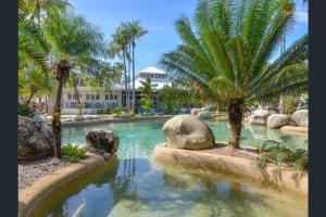 basen z palmami w ośrodku w obiekcie Escape Life @ Port Douglas w mieście Port Douglas