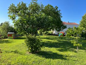 a tree in the middle of a grass field at B&B The Secret Garden in Buia