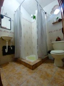 ein Bad mit einer Dusche, einem WC und einem Waschbecken in der Unterkunft Casa Aguacate in Antigua Guatemala