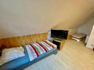 a room with a bed and a flat screen tv at Monteur Ferienwohnung Klötze in Klötze
