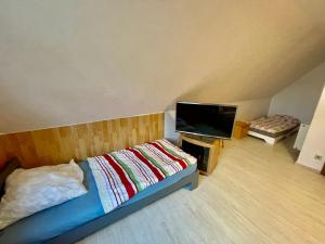 Μια τηλεόραση ή/και κέντρο ψυχαγωγίας στο Hotel Monteur Ferienwohnung Klötze