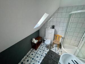 an attic bathroom with a toilet and a shower at Monteur Ferienwohnung Klötze in Klötze