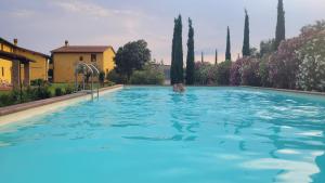 a large swimming pool in a yard with trees at Agriturismo Podere Casalone in Limite