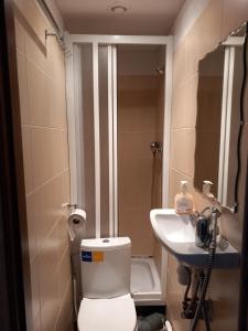 a small bathroom with a toilet and a sink at Dzintari in Jūrmala