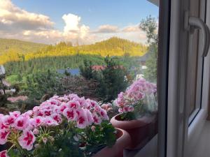 a window with pink flowers on a window sill at Cerla Korbielów 16 Plus in Korbielów