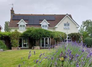 a house with a field of purple flowers in front of it at Westwood Lodge B & B Boston in Boston