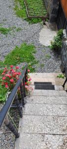 Giardino di Guesthouse Robi