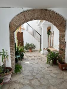an archway with potted plants in a building at Tarifa the Life, acogedor estudio centro histórico in Tarifa
