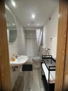 a bathroom with a sink and a toilet at Lemonwood House in Postojna