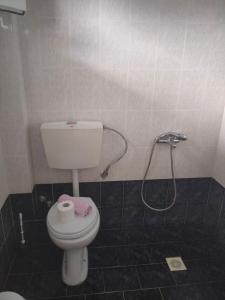 a bathroom with a toilet and a shower at Vigla House in Sykia Chalkidikis