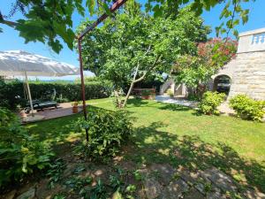 un patio con un banco y un árbol en Villa Almira, en Izola