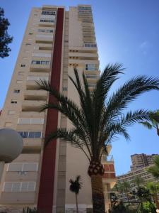 a tall building with a palm tree in front of it at Panorama Benidorm Torre Montecarlo in Benidorm