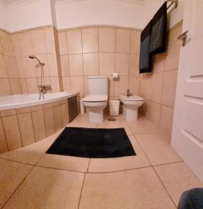 a bathroom with a toilet and a tub and a sink at Apartamento Excelente in Baños y Mendigo