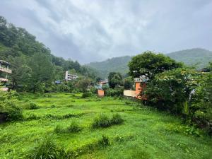 un prato erboso con montagne sullo sfondo di Yuriko Guest House a Pokhara
