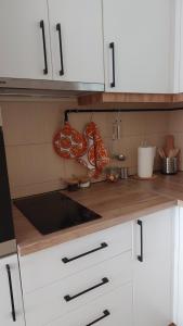Kuchyň nebo kuchyňský kout v ubytování Apartman Ninolić
