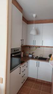 Kuchyň nebo kuchyňský kout v ubytování Apartman Ninolić