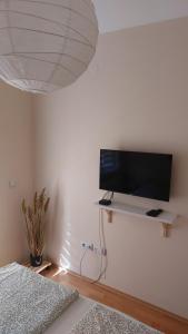 TV a/nebo společenská místnost v ubytování Apartman Ninolić