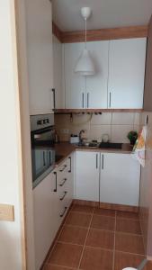 Kuchyň nebo kuchyňský kout v ubytování Apartman Ninolić