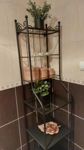 Fotografie z fotogalerie ubytování Apartman Ninolić v destinaci Jagodina