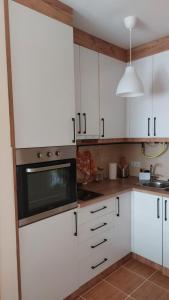 Kuchyň nebo kuchyňský kout v ubytování Apartman Ninolić + 19 fotografií