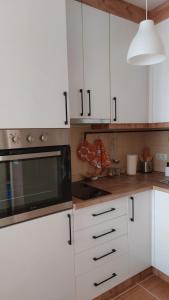 Kuchyň nebo kuchyňský kout v ubytování Apartman Ninolić