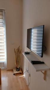 TV a/nebo společenská místnost v ubytování Apartman Ninolić