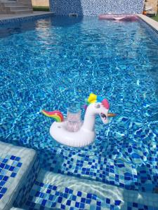 een speelgoedeenhoorn in het water in een zwembad bij Villa with Pool & Garden apartment 2 Vuk in Tivat